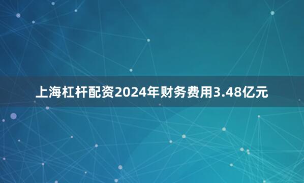 上海杠杆配资2024年财务费用3.48亿元