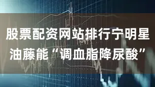 股票配资网站排行宁明星油藤能“调血脂降尿酸”
